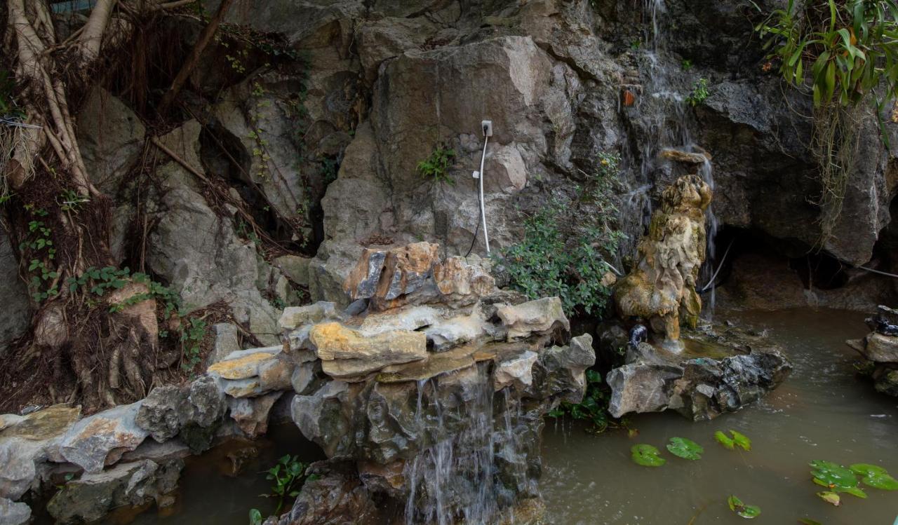 Trang An Viewpoint Homestay نينه بينه المظهر الخارجي الصورة